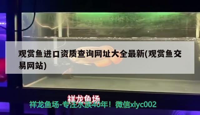 觀賞魚進口資質查詢網址大全最新(觀賞魚交易網站) 觀賞魚進出口