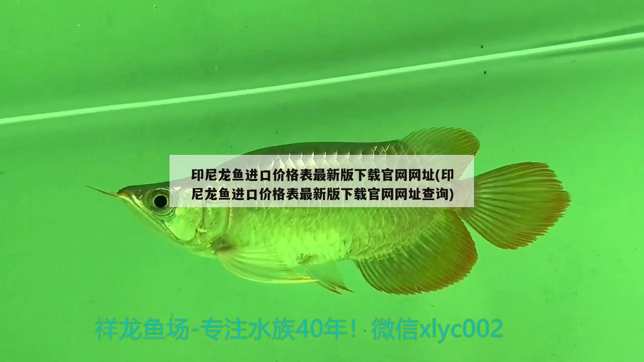 印尼龍魚(yú)進(jìn)口價(jià)格表最新版下載官網(wǎng)網(wǎng)址(印尼龍魚(yú)進(jìn)口價(jià)格表最新版下載官網(wǎng)網(wǎng)址查詢) 觀賞魚(yú)進(jìn)出口