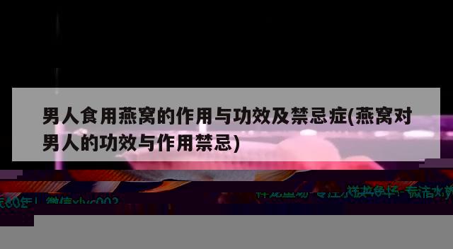 男人食用燕窩的作用與功效及禁忌癥(燕窩對男人的功效與作用禁忌)