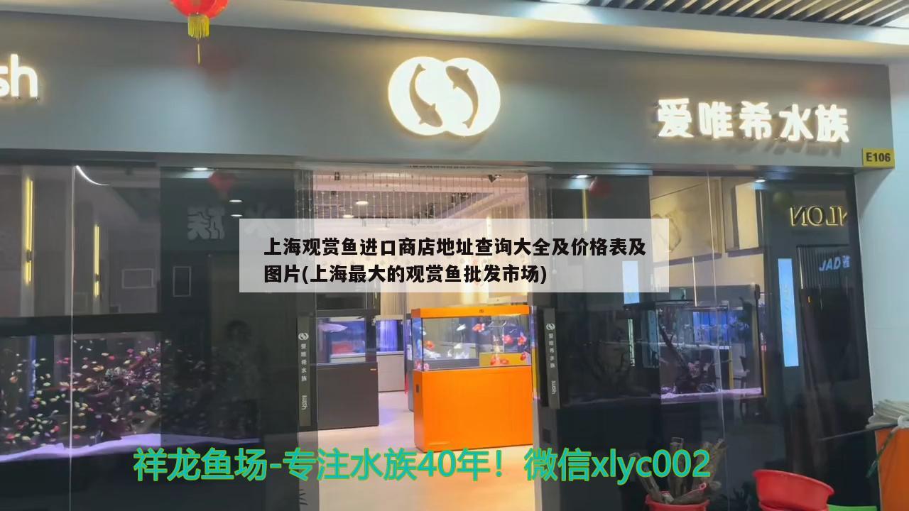 上海觀賞魚進(jìn)口商店地址查詢大全及價(jià)格表及圖片(上海最大的觀賞魚批發(fā)市場)