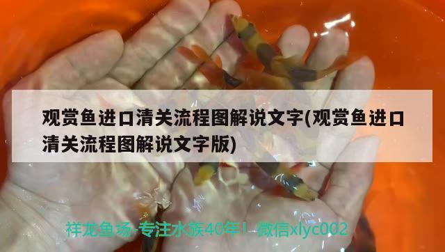 觀賞魚進口清關流程圖解說文字(觀賞魚進口清關流程圖解說文字版) 觀賞魚進出口