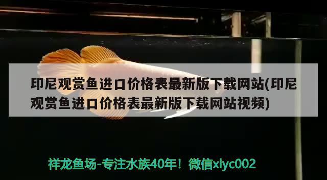 印尼觀賞魚進口價格表最新版下載網(wǎng)站(印尼觀賞魚進口價格表最新版下載網(wǎng)站視頻) 觀賞魚進出口