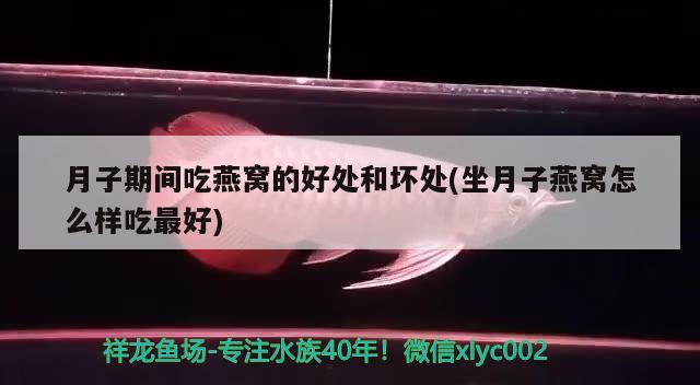 月子期間吃燕窩的好處和壞處(坐月子燕窩怎么樣吃最好) 馬來西亞燕窩