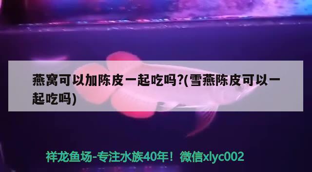 燕窩可以加陳皮一起吃嗎?(雪燕陳皮可以一起吃嗎) 馬來西亞燕窩