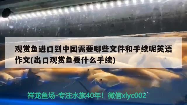 觀賞魚進(jìn)口到中國需要哪些文件和手續(xù)呢英語作文(出口觀賞魚要什么手續(xù))