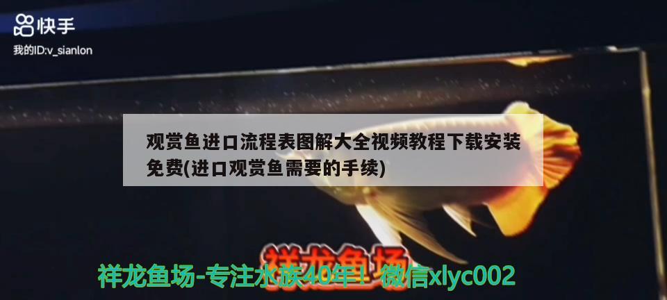 觀賞魚進口流程表圖解大全視頻教程下載安裝免費(進口觀賞魚需要的手續(xù)) 觀賞魚進出口