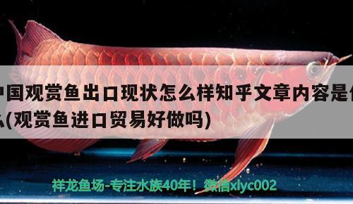 中國(guó)觀賞魚出口現(xiàn)狀怎么樣知乎文章內(nèi)容是什么(觀賞魚進(jìn)口貿(mào)易好做嗎)