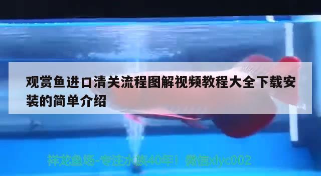 觀賞魚進口清關流程圖解視頻教程大全下載安裝的簡單介紹 觀賞魚進出口