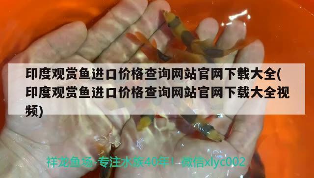 印度觀賞魚進口價格查詢網(wǎng)站官網(wǎng)下載大全(印度觀賞魚進口價格查詢網(wǎng)站官網(wǎng)下載大全視頻)