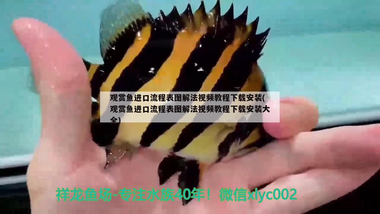 觀賞魚進(jìn)口流程表圖解法視頻教程下載安裝(觀賞魚進(jìn)口流程表圖解法視頻教程下載安裝大全) 觀賞魚進(jìn)出口