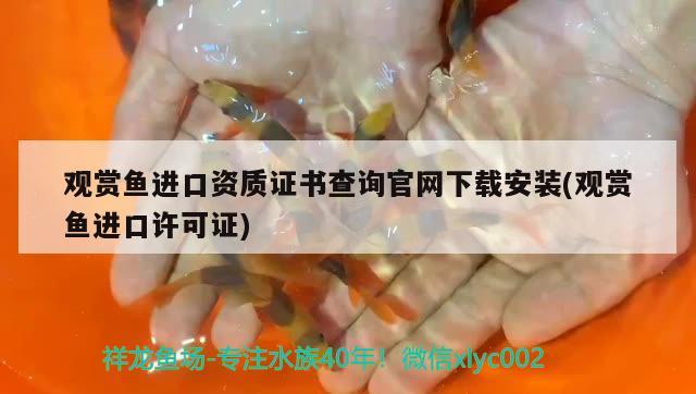 觀賞魚進口資質(zhì)證書查詢官網(wǎng)下載安裝(觀賞魚進口許可證)