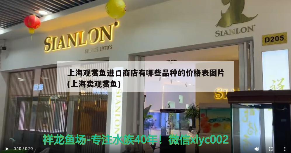 上海觀賞魚進(jìn)口商店有哪些品種的價(jià)格表圖片(上海賣觀賞魚) 觀賞魚進(jìn)出口