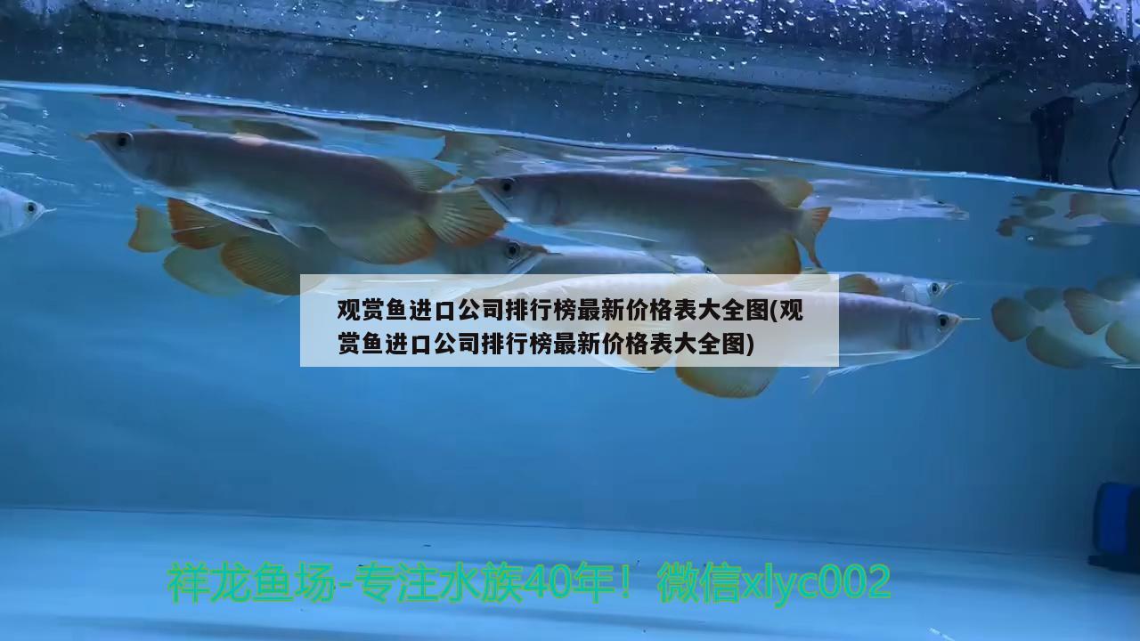 觀賞魚(yú)進(jìn)口公司排行榜最新價(jià)格表大全圖(觀賞魚(yú)進(jìn)口公司排行榜最新價(jià)格表大全圖)