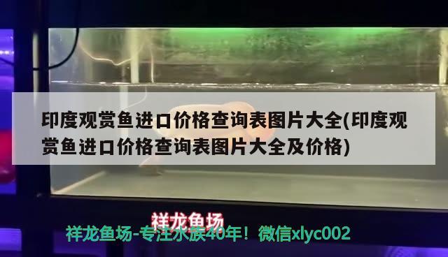 印度觀賞魚進口價格查詢表圖片大全(印度觀賞魚進口價格查詢表圖片大全及價格)