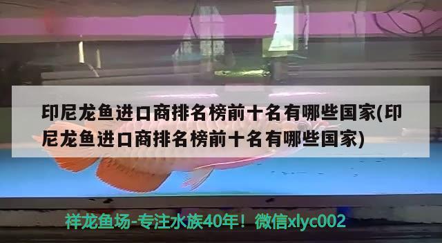 印尼龍魚進口商排名榜前十名有哪些國家(印尼龍魚進口商排名榜前十名有哪些國家)