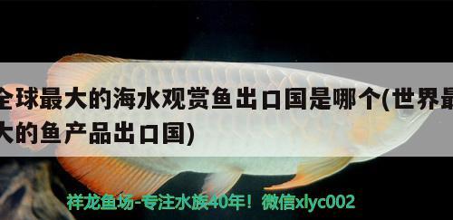 全球最大的海水觀賞魚出口國是哪個(世界最大的魚產(chǎn)品出口國) 觀賞魚進(jìn)出口