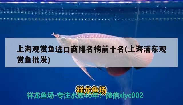 上海觀賞魚進(jìn)口商排名榜前十名(上海浦東觀賞魚批發(fā)) 觀賞魚進(jìn)出口