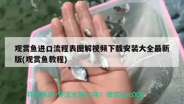 觀賞魚進(jìn)口流程表圖解視頻下載安裝大全最新版(觀賞魚教程)