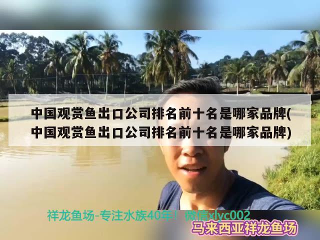 中國觀賞魚出口公司排名前十名是哪家品牌(中國觀賞魚出口公司排名前十名是哪家品牌)