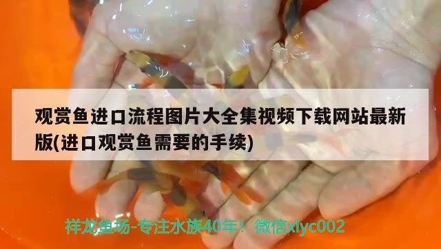 觀賞魚進(jìn)口流程圖片大全集視頻下載網(wǎng)站最新版(進(jìn)口觀賞魚需要的手續(xù)) 觀賞魚進(jìn)出口