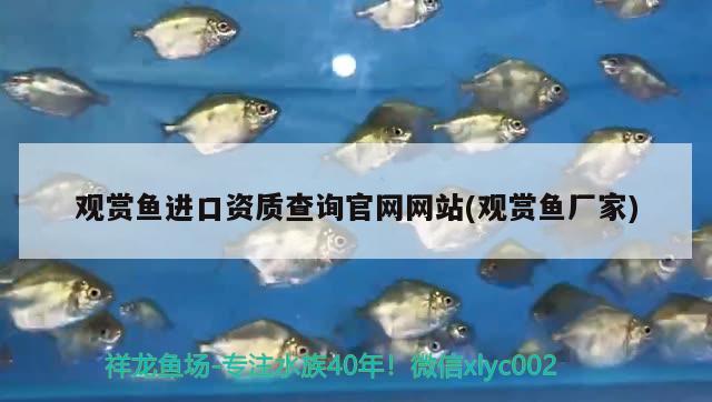 觀賞魚進口資質(zhì)查詢官網(wǎng)網(wǎng)站(觀賞魚廠家) 觀賞魚進出口