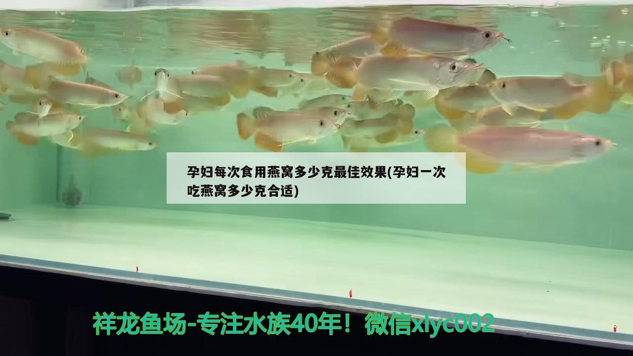 孕婦每次食用燕窩多少克最佳效果(孕婦一次吃燕窩多少克合適) 馬來西亞燕窩