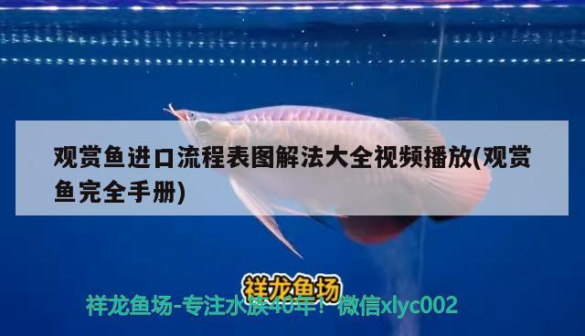 觀賞魚進(jìn)口流程表圖解法大全視頻播放(觀賞魚完全手冊)