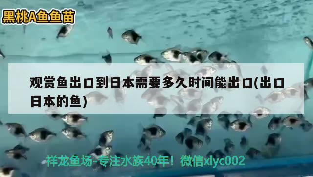 觀賞魚出口到日本需要多久時(shí)間能出口(出口日本的魚)