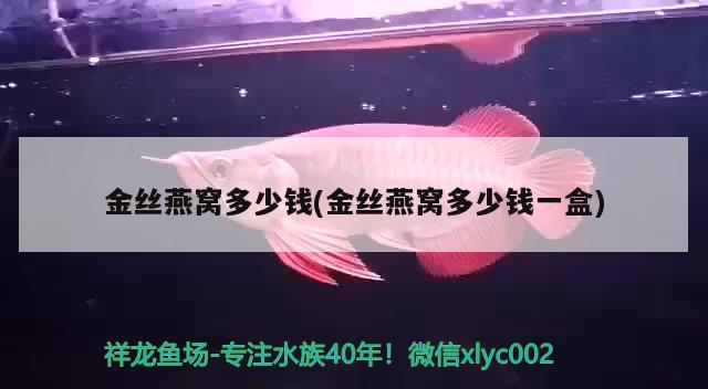 金絲燕窩多少錢(金絲燕窩多少錢一盒) 馬來西亞燕窩