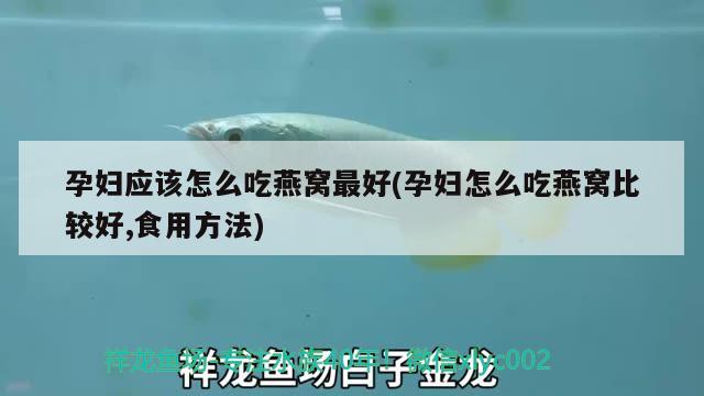 孕婦應(yīng)該怎么吃燕窩最好(孕婦怎么吃燕窩比較好,食用方法) 馬來西亞燕窩