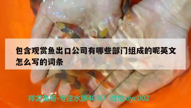 包含觀賞魚出口公司有哪些部門組成的呢英文怎么寫的詞條