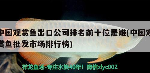 中國觀賞魚出口公司排名前十位是誰(中國觀賞魚批發(fā)市場排行榜)