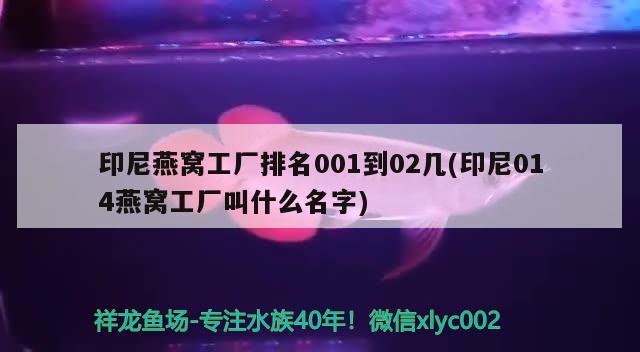 印尼燕窩工廠排名001到02幾(印尼014燕窩工廠叫什么名字)