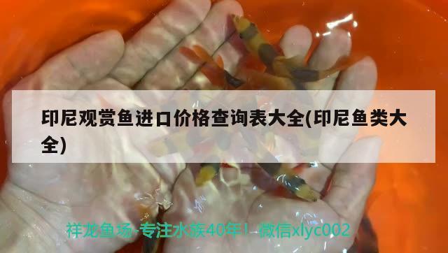 印尼觀賞魚進(jìn)口價格查詢表大全(印尼魚類大全)