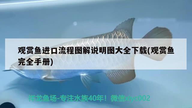 觀賞魚進口流程圖解說明圖大全下載(觀賞魚完全手冊) 觀賞魚進出口