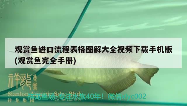 觀賞魚(yú)進(jìn)口流程表格圖解大全視頻下載手機(jī)版(觀賞魚(yú)完全手冊(cè))