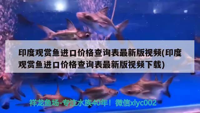 印度觀賞魚進(jìn)口價格查詢表最新版視頻(印度觀賞魚進(jìn)口價格查詢表最新版視頻下載) 觀賞魚進(jìn)出口