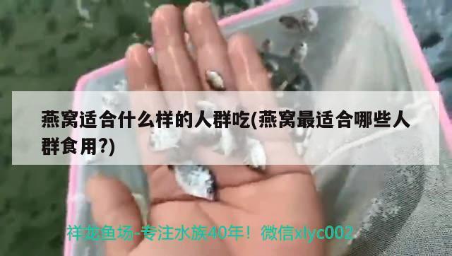 燕窩適合什么樣的人群吃(燕窩最適合哪些人群食用?) 馬來西亞燕窩