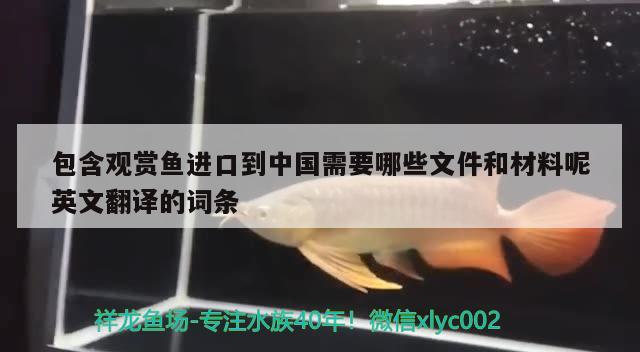 包含觀賞魚進口到中國需要哪些文件和材料呢英文翻譯的詞條 觀賞魚進出口