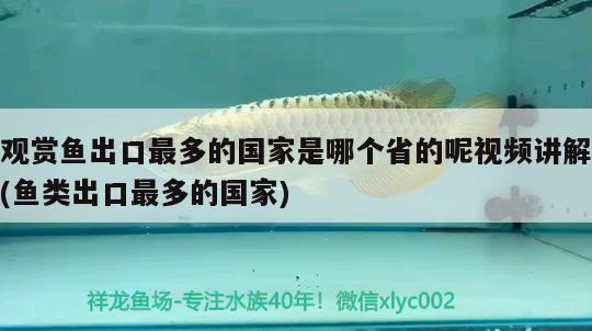 觀賞魚(yú)出口最多的國(guó)家是哪個(gè)省的呢視頻講解(魚(yú)類(lèi)出口最多的國(guó)家) 觀賞魚(yú)進(jìn)出口