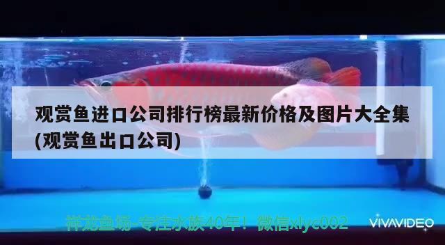 觀賞魚進口公司排行榜最新價格及圖片大全集(觀賞魚出口公司)