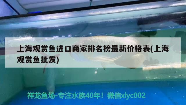 上海觀賞魚進(jìn)口商家排名榜最新價格表(上海觀賞魚批發(fā)) 觀賞魚進(jìn)出口