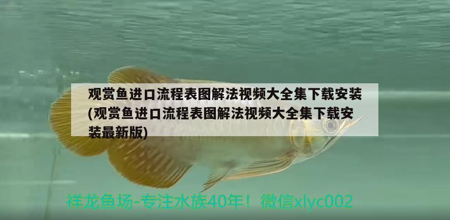 觀賞魚進(jìn)口流程表圖解法視頻大全集下載安裝(觀賞魚進(jìn)口流程表圖解法視頻大全集下載安裝最新版)