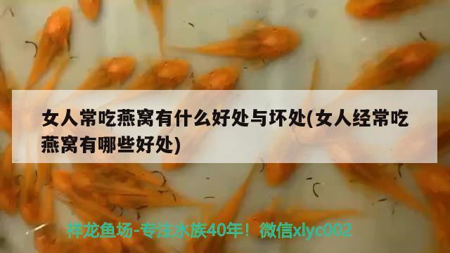 女人常吃燕窩有什么好處與壞處(女人經(jīng)常吃燕窩有哪些好處) 馬來(lái)西亞燕窩