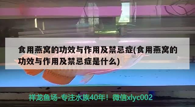 食用燕窩的功效與作用及禁忌癥(食用燕窩的功效與作用及禁忌癥是什么) 馬來(lái)西亞燕窩