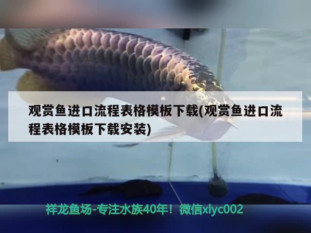 觀賞魚進(jìn)口流程表格模板下載(觀賞魚進(jìn)口流程表格模板下載安裝)