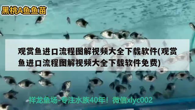 觀賞魚進口流程圖解視頻大全下載軟件(觀賞魚進口流程圖解視頻大全下載軟件免費)