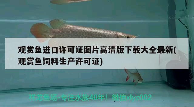 觀賞魚(yú)進(jìn)口許可證圖片高清版下載大全最新(觀賞魚(yú)飼料生產(chǎn)許可證) 觀賞魚(yú)進(jìn)出口