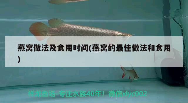 燕窩做法及食用時間(燕窩的最佳做法和食用) 馬來西亞燕窩