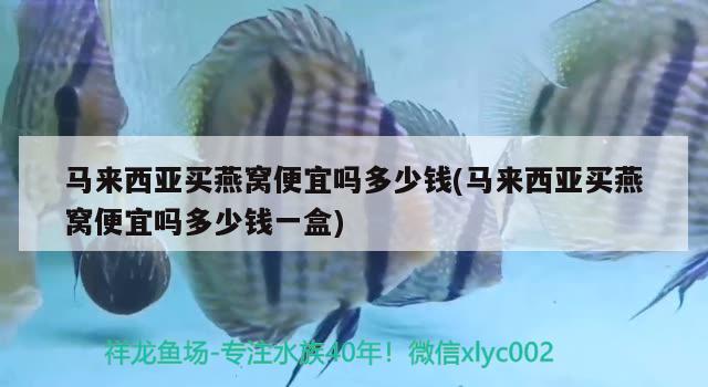 馬來西亞買燕窩便宜嗎多少錢(馬來西亞買燕窩便宜嗎多少錢一盒) 馬來西亞燕窩